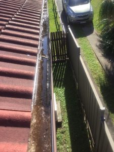 Termite attack in roof guttering