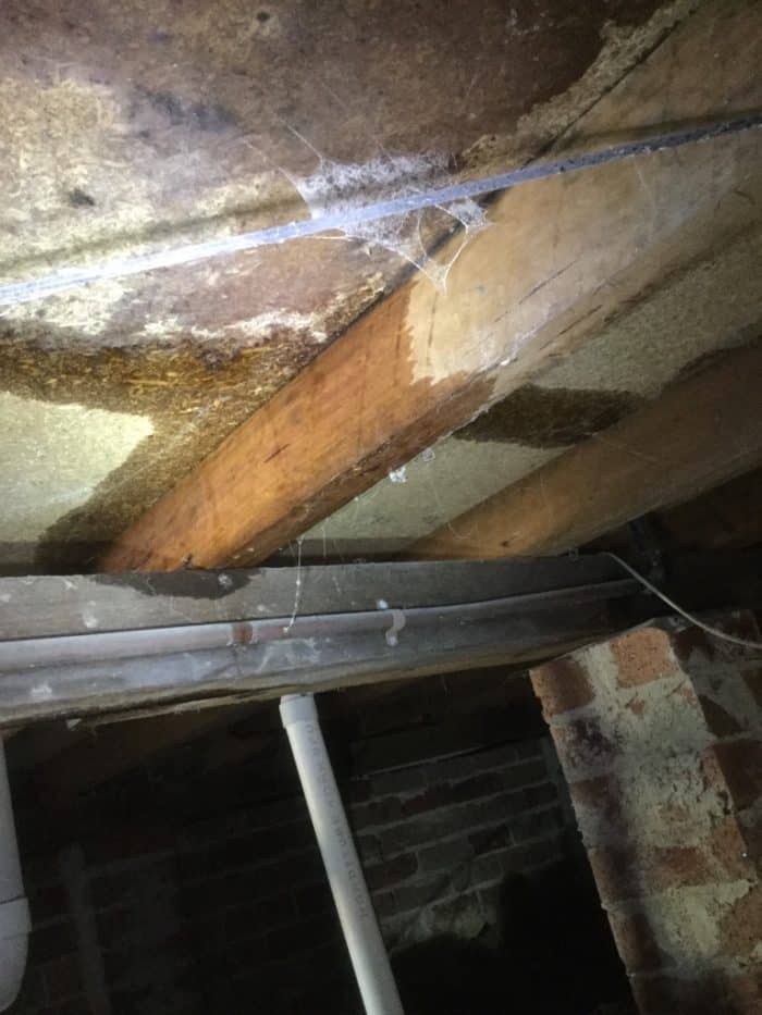 Common building Faults East Coast Building Inspections