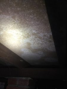 Mould in sub floor's
